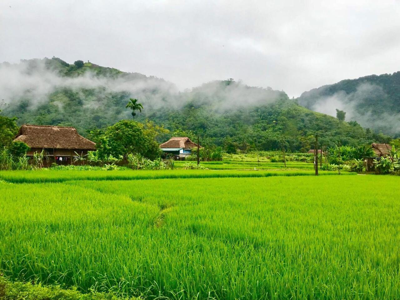 Xoi Farmstay - Eco Homestay Luc Yen Yen Bai Exteriör bild