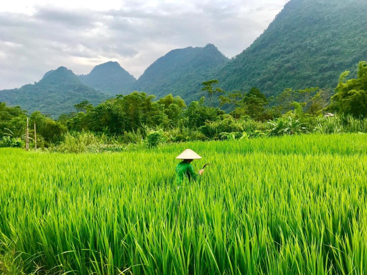 Xoi Farmstay - Eco Homestay Luc Yen Yen Bai Exteriör bild