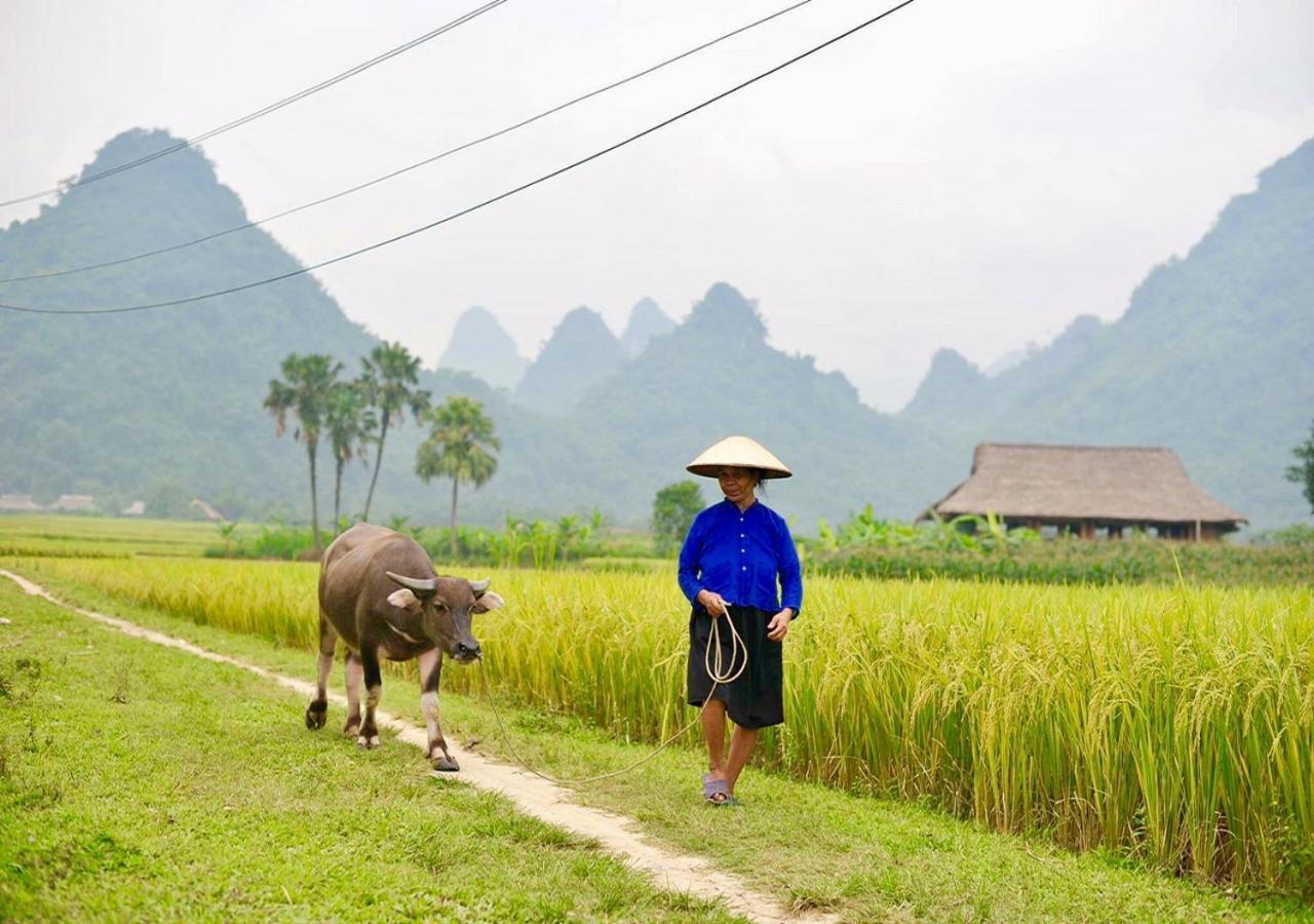 Xoi Farmstay - Eco Homestay Luc Yen Yen Bai Exteriör bild